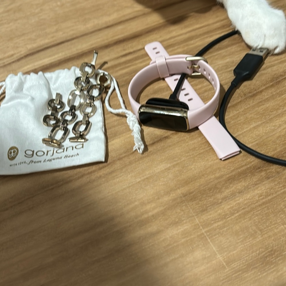 Fit Bit Luxe x Gorjana